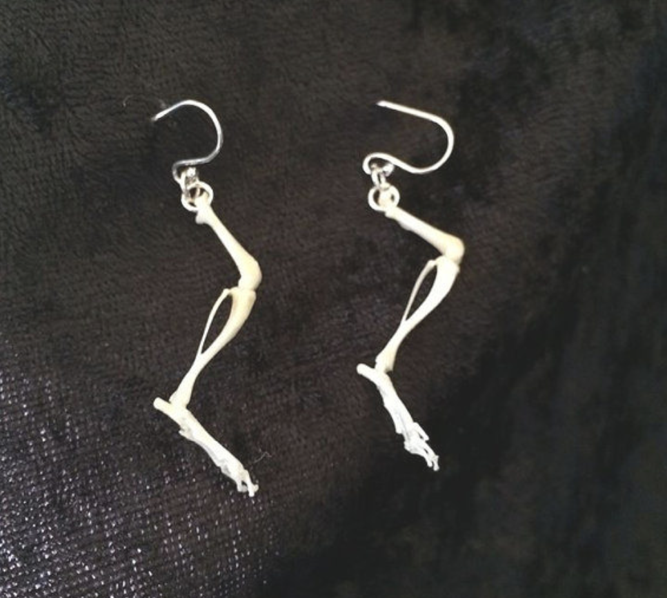 Mouse bone earrings are apparently all the rage right now.