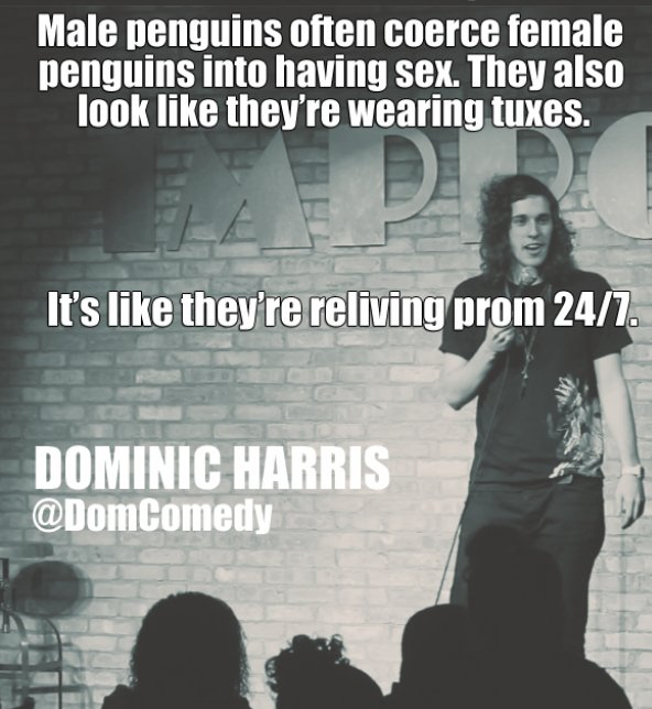 Standup Jokes about Sex That Aren't Sexy, But Hey You'll Laugh