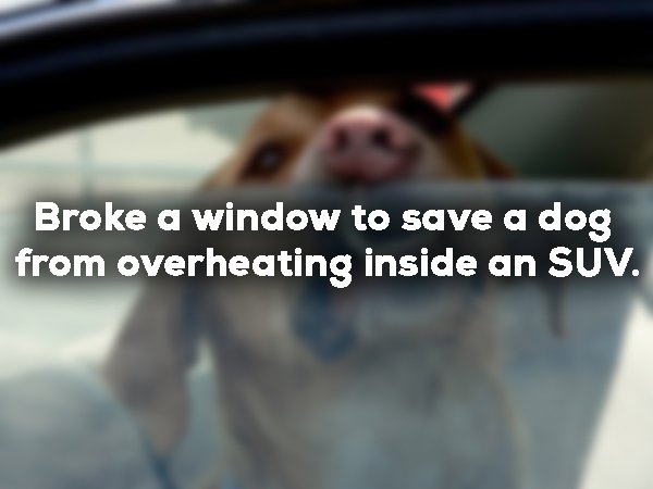 doing the wrong thing for the right reasons - Broke a window to save a dog from overheating inside an Suv.