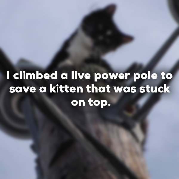 photo caption - I climbed a live power pole to save a kitten that was stuck on top.
