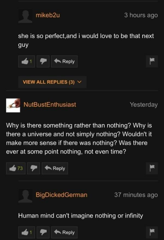 Times Porn Comments Were Just Weird As Hell