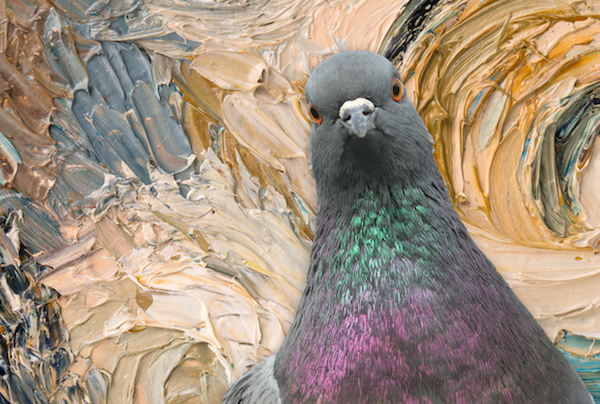 There are pigeons that have been trained so well, they can tell the difference between the paintings of Pablo Picasso and Claude Monet.