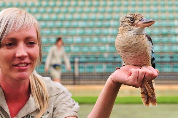 Wildlife Caretaker
Salary: $45,000
Work with some amazing animals and get paid to do it.