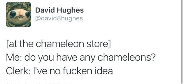 memes - neil degrasse tyson happy birthday isaac newton - Ros David Hughes at the chameleon store Me do you have any chameleons? Clerk I've no fucken idea