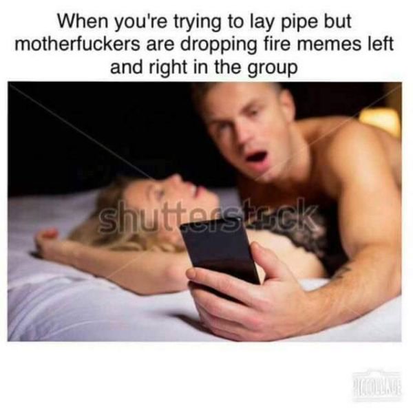 memes - phone during sex - When you're trying to lay pipe but motherfuckers are dropping fire memes left and right in the group Shutte