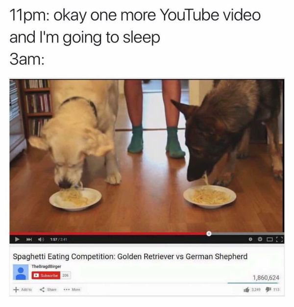 memes - only one more youtube video meme - 11pm okay one more YouTube video and I'm going to sleep 3am 241 Oo Spaghetti Eating Competition Golden Retriever vs German Shepherd The BragdBirger D Subscribe 206 1,860,624 Add to More 1.249 113