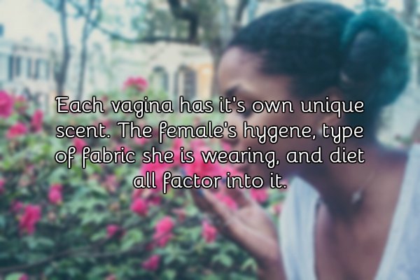 a few facts about vaginas