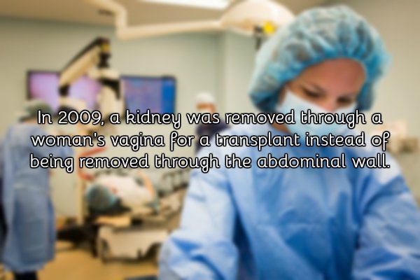 a few facts about vaginas