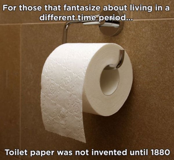 memes - toilet paper - For those that fantasize about living in a different time period.. Toilet paper was not invented until 1880
