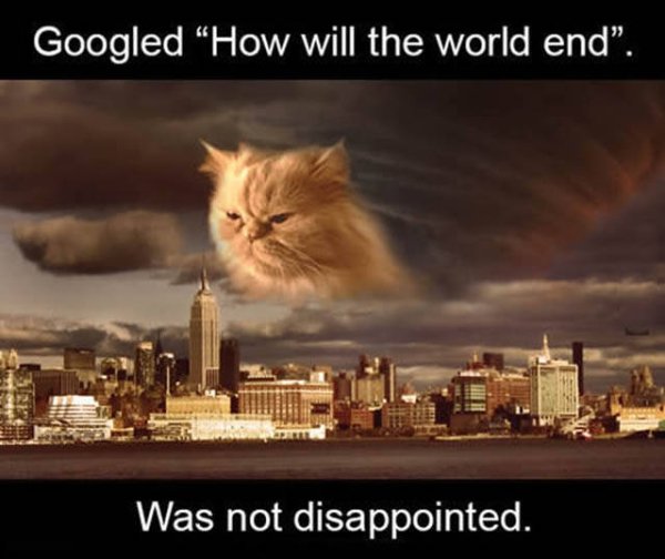 memes - funny end - Googled How will the world end. Was not disappointed.