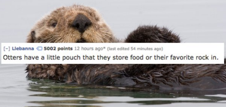 Uplifting Facts That'll Make You Fuzzy and Warm Inside