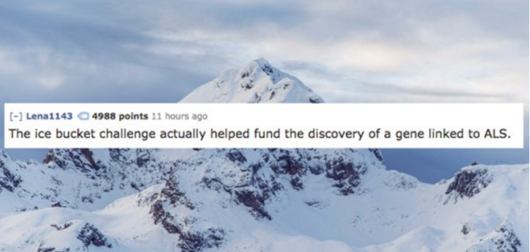 Uplifting Facts That'll Make You Fuzzy and Warm Inside