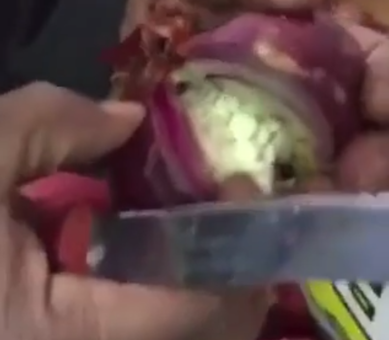 Smugglers conceal drugs inside onions