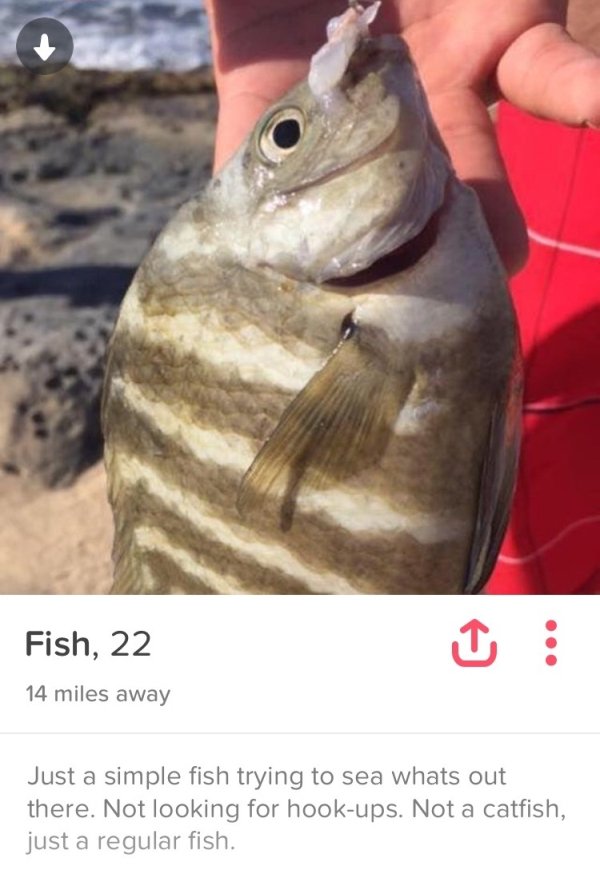 Tinder profiles that are full of WTF