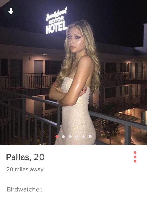 Tinder profiles that are full of WTF