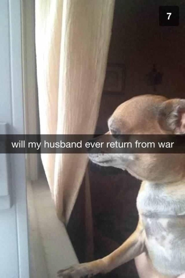 will my husband ever return from war - 7 will my husband ever return from war