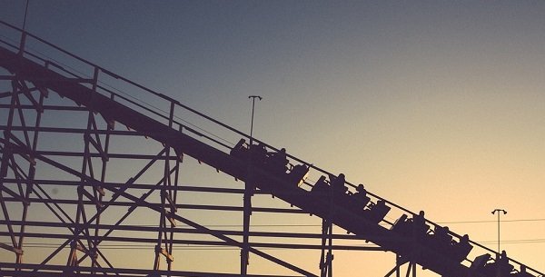 A roller coaster operator at a park just north of Seattle had his hair got caught on a passing by cart. He was lifted up 12 meters before being essentially scalped and falling to his death.