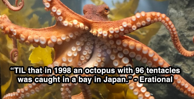 Mind-Blowing Things People Learned Today on Reddit