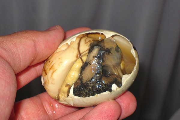 Most of the items on this list are still edible to the average adventurous eater, but balut is a whole new ball game. That's because eating balut requires eating a fertilized duck egg — fetus and all. Even in the Philippines, where it is considered a national delicacy, residents are mostly divided on their opinion of the food. Those that enjoy the snack say the unborn bird is savory and crunchy, with the yolk providing a rich, creamy and sweet contrast.
While a small number of specialty stores may carry balut, you'll probably have to order it online if you're brave enough to try it. To cook, simply boil the egg for ten minutes, put it in a water bath to cool it down and then chow down — if you can.