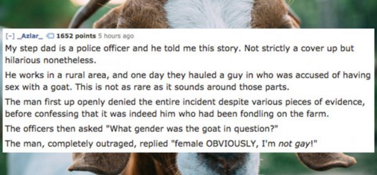 Police Officers Share the Most Insane Cover Stories Perps Have Told Them