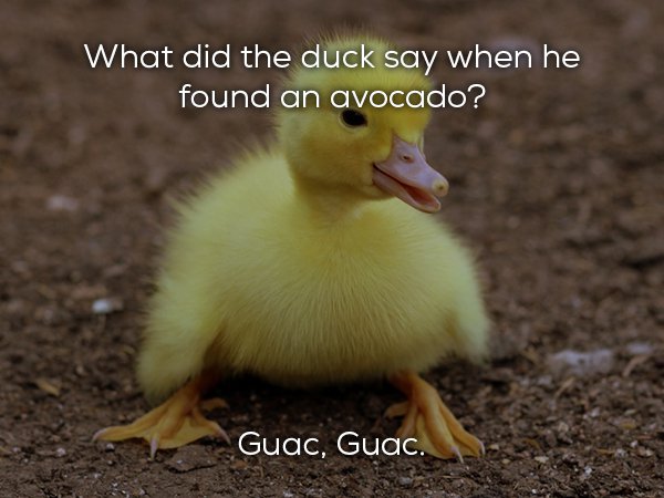 Dad jokes that are beautifully awful