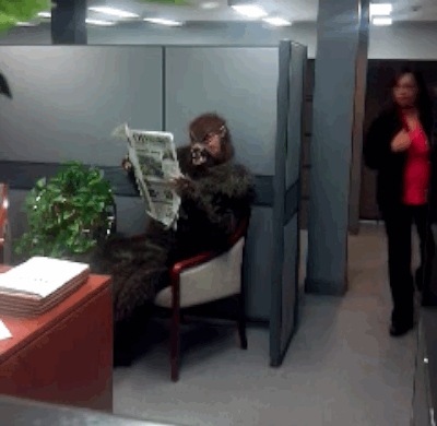 werewolf office