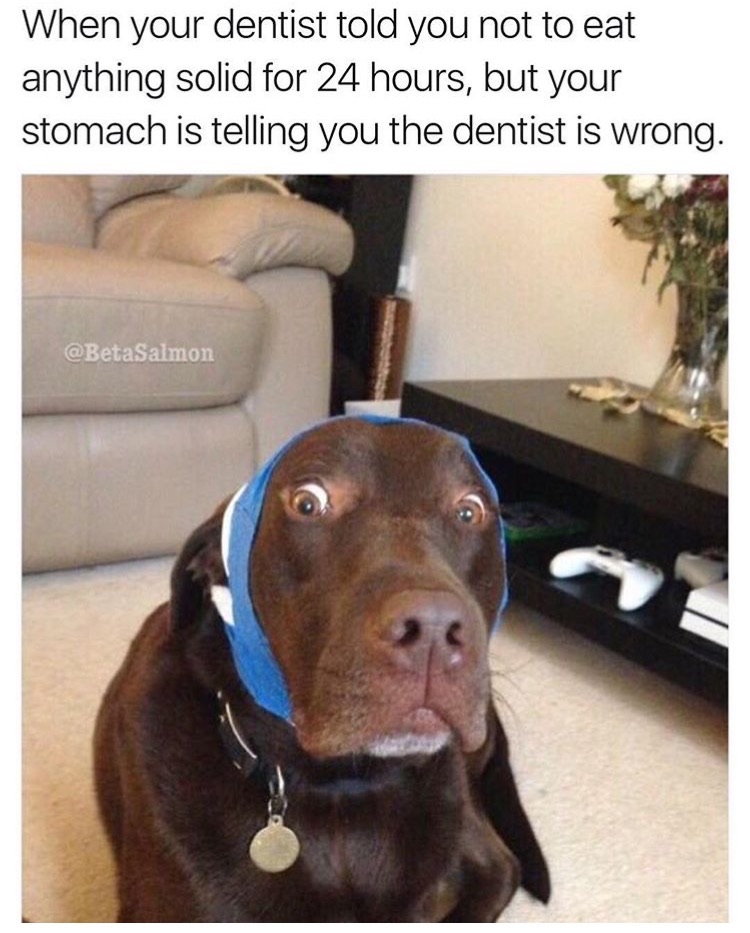 memes - memes that will leave you in stitches - When your dentist told you not to eat anything solid for 24 hours, but your stomach is telling you the dentist is wrong.
