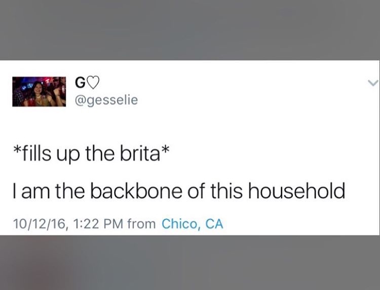 memes - multimedia - G gesselie fills up the brita Tam the backbone of this household 101216, from Chico, Ca