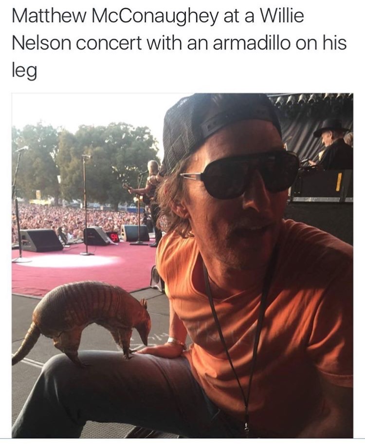 memes - matthew mcconaughey willie nelson - Matthew McConaughey at a Willie Nelson concert with an armadillo on his leg