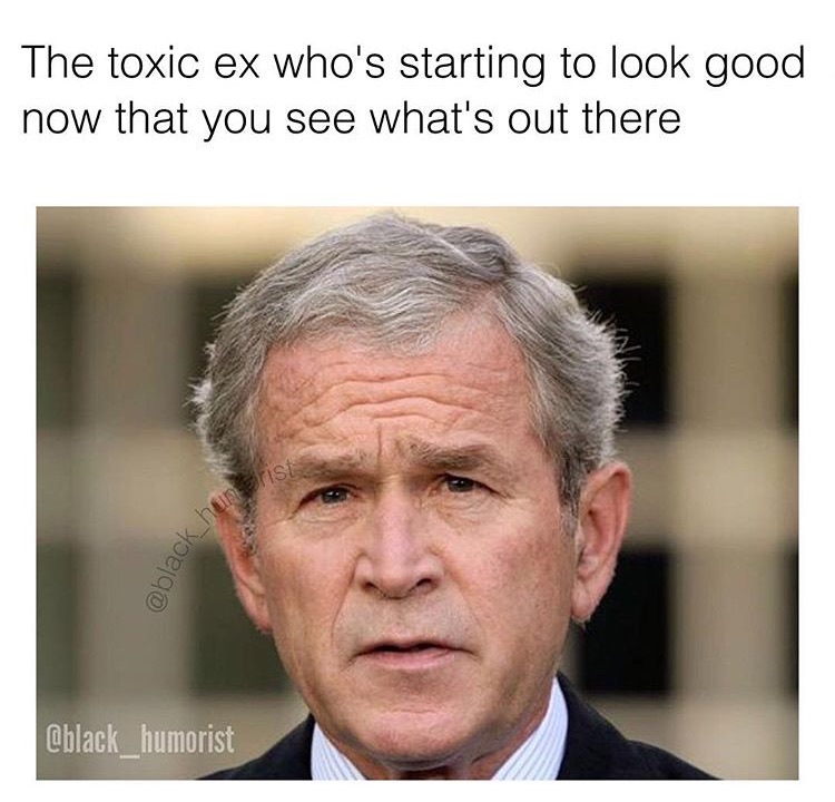 memes - george w bush - The toxic ex who's starting to look good now that you see what's out there ha