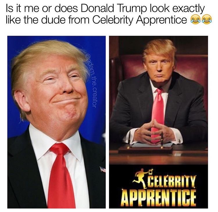 memes - trump central park five ad - Is it me or does Donald Trump look exactly the dude from Celebrity Apprentice sa .the dam.the.creator Celebrity Apprentice