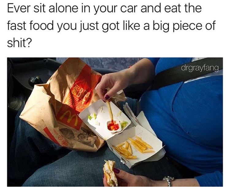 memes - do you ever sit in your car - Ever sit alone in your car and eat the fast food you just got a big piece of shit? drgrayfang