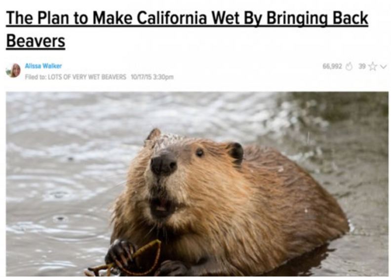 Headlines That Prove We Live in the Greatest Day and Age