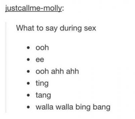 tumblr - diagram - justcallmemolly What to say during sex ooh ee ooh ahh ahh ting tang walla walla bing bang