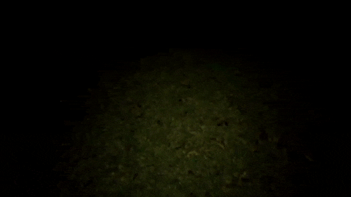 Another reason not to go outside, after dark, into nature is this gif. According to the uploader of the video, this is him shining a flashlight at eye level into the grass, and seeing all the eyeshine of the spiders in your front yard.