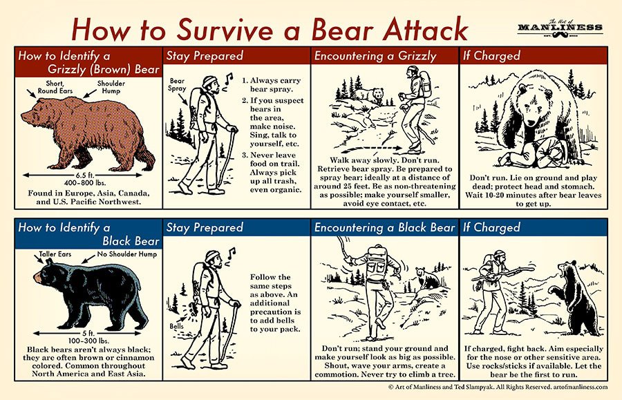 In 1883, the body of a bear and Frank Devereaux were found dead beside each other with the ground around them thrashed for 20 feet. It’s believed the man and bear fought to the death.

The body of Frank Devereaux was recently found in the woods eight miles from Cheboygan, Mich. The surroundings showed that he was killed in a bear fight, which resulted fatally for both, as the animal’s body was found near that of the dead man. The body was terribly cut up in the contest, and the ground torn for a space of twenty feet, showing that the struggle had been a fearful one.