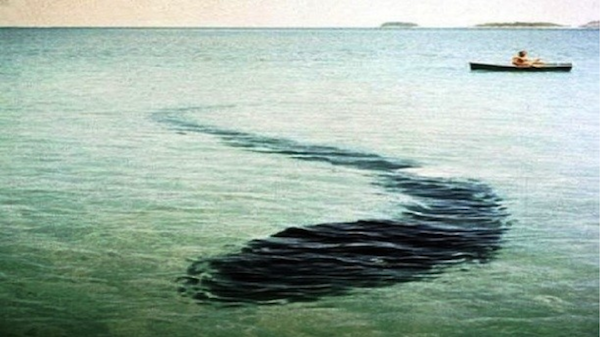 The Hook Island Sea Monster.
In 1964, French photographer Robert Serrec took a picture of what looked like a giant snake-like creature off the coast of Queensland, Australia. Experts claim it’s a tarp, or a line of dark sand, or some sort of crevice, but those explanations don’t hold water. Whatever was chilling on the seafloor, will never be truthfully verified.