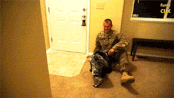 Dogs greeting soldiers coming home will melt the toughest of hearts