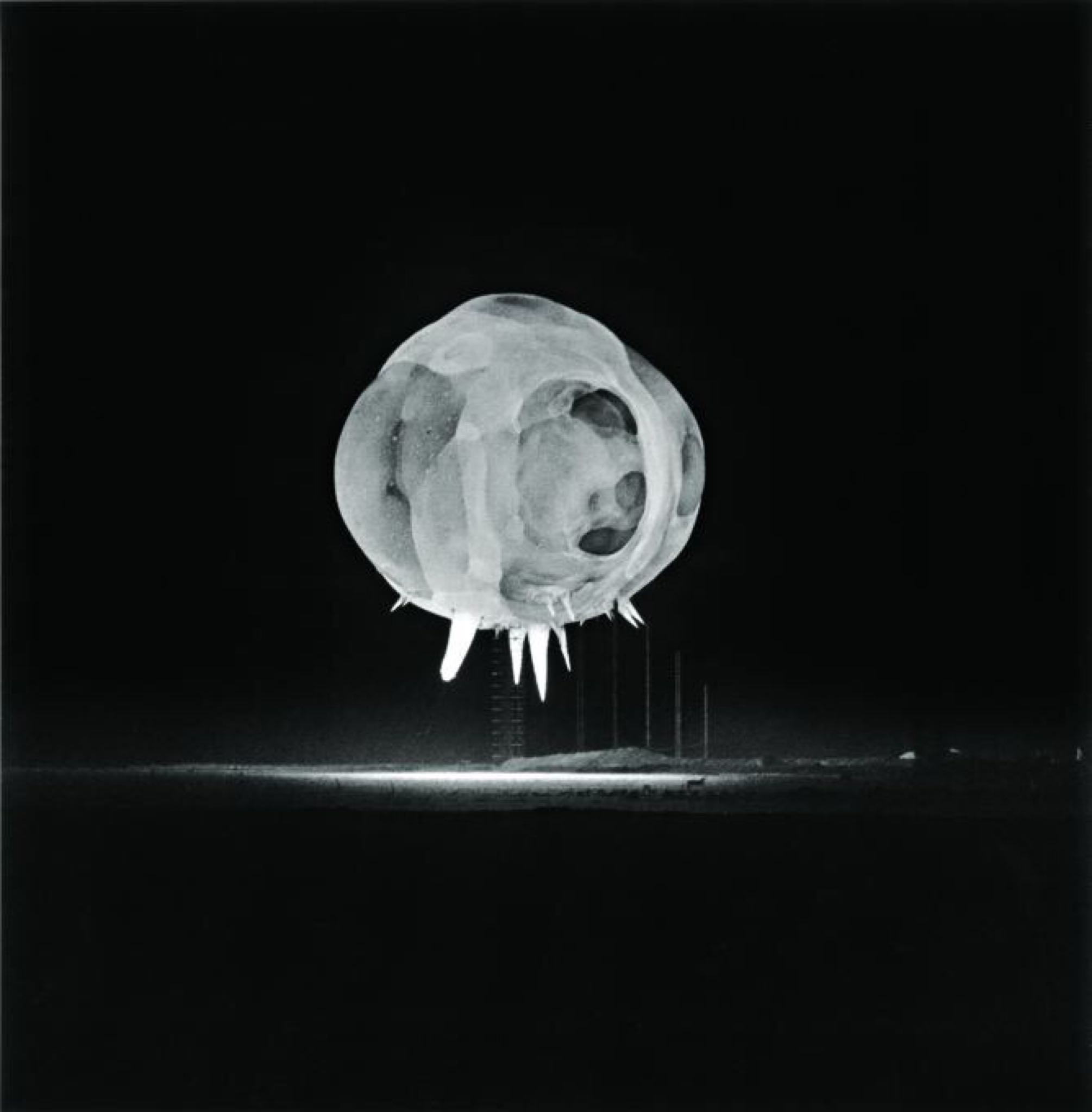 A nuclear bomb immediately after being detonated