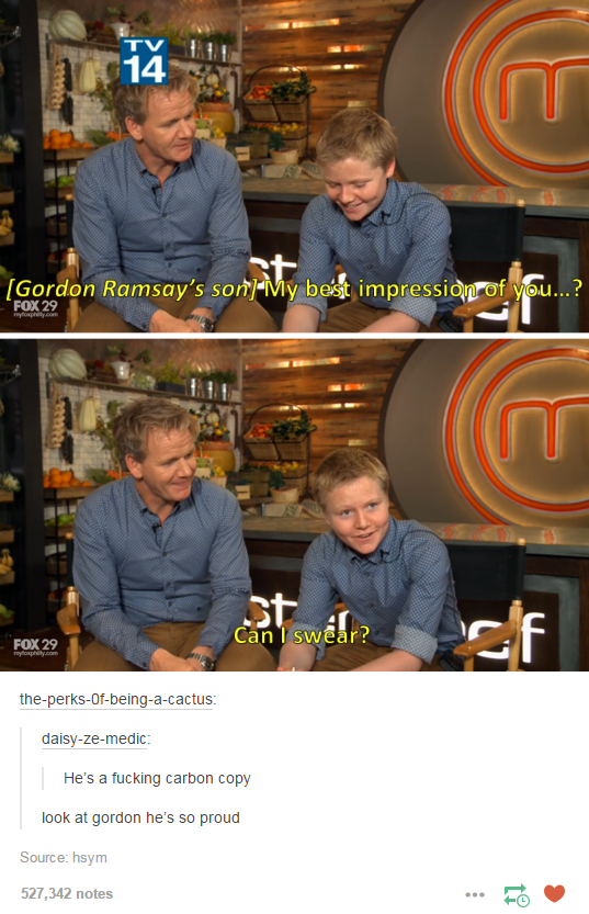 Gordon Ramsay Moments That Were Absolutely Perfect