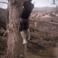 Normal Gifs Turned Into Scenes Of Violence And Destruction 