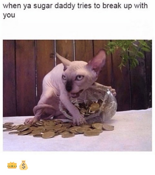 19 Of The Best Memes for When You Get Dumped