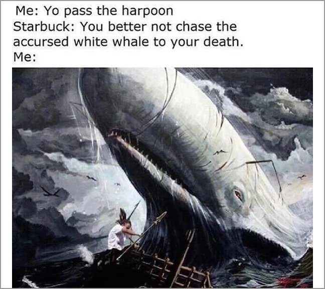 meme stream - split your lungs with blood and thunder - Me Yo pass the harpoon Starbuck You better not chase the accursed white whale to your death. Me