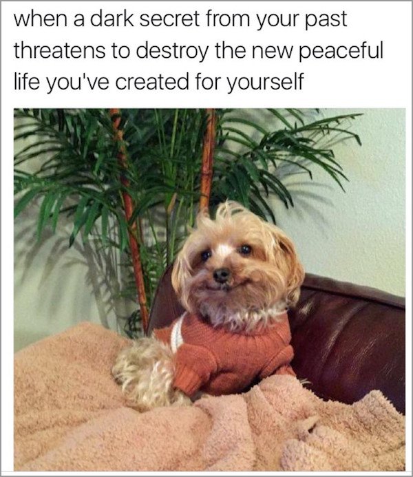 meme stream - dogs smiling for camera - when a dark secret from your past threatens to destroy the new peaceful life you've created for yourself