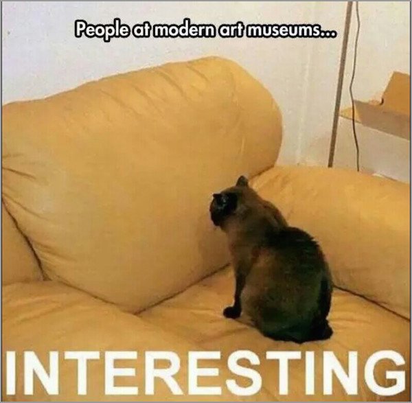 meme stream - fascinating cat - People at modern art museums... Interesting