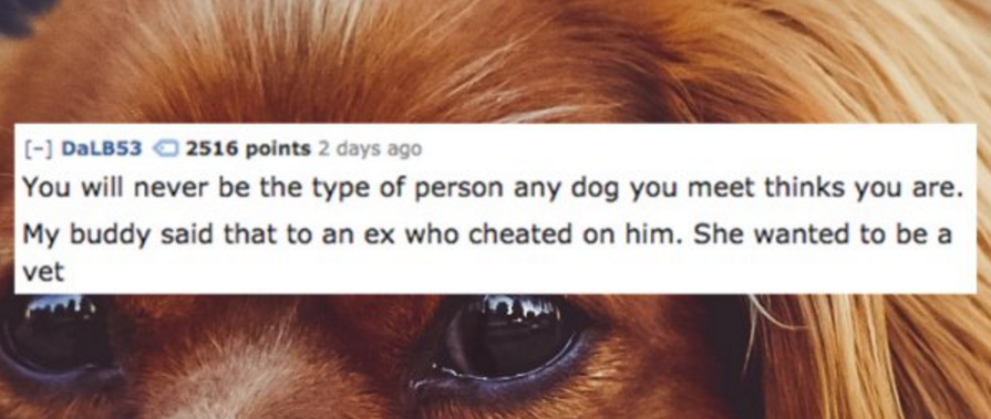 Most Brutal Yet Hilarious Insults People Have Ever Heard