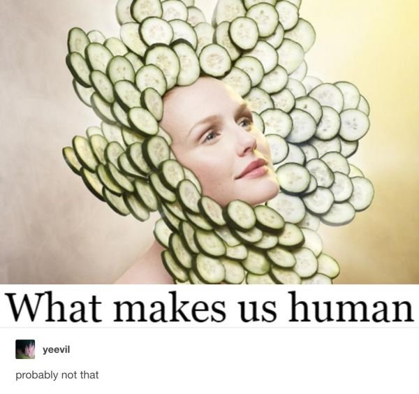 memes  - makes us human meme - What makes us human yeevil probably not that