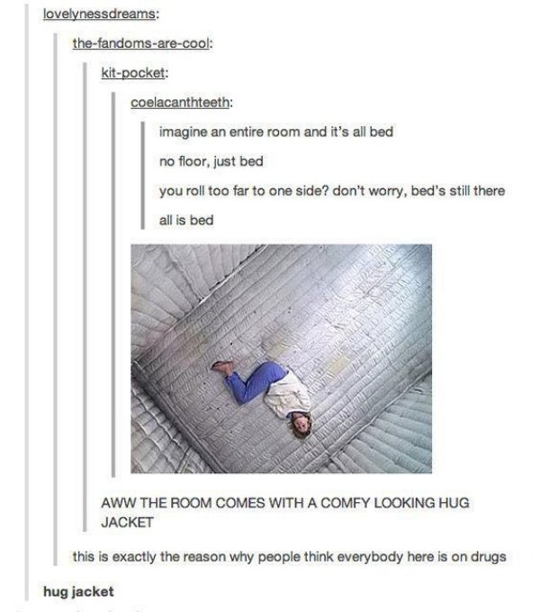 tumblr - hug jacket - lovelynessdreams thefandomsarecool kitpocket coelacanthteeth imagine an entire room and it's all bed no floor, just bed you roll too far to one side? don't worry, bed's still there all is bed Aww The Room Comes With A Comfy Looking H