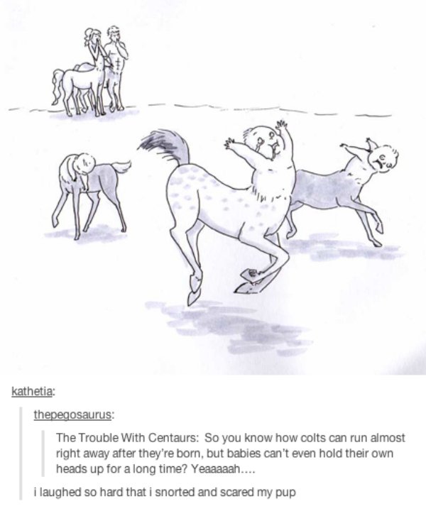 tumblr - baby centaurs meme - kathetia thepegosaurus The Trouble With Centaurs So you know how colts can run almost right away after they're born, but babies can't even hold their own heads up for a long time? Yeaaaaah.... i laughed so hard that i snorted