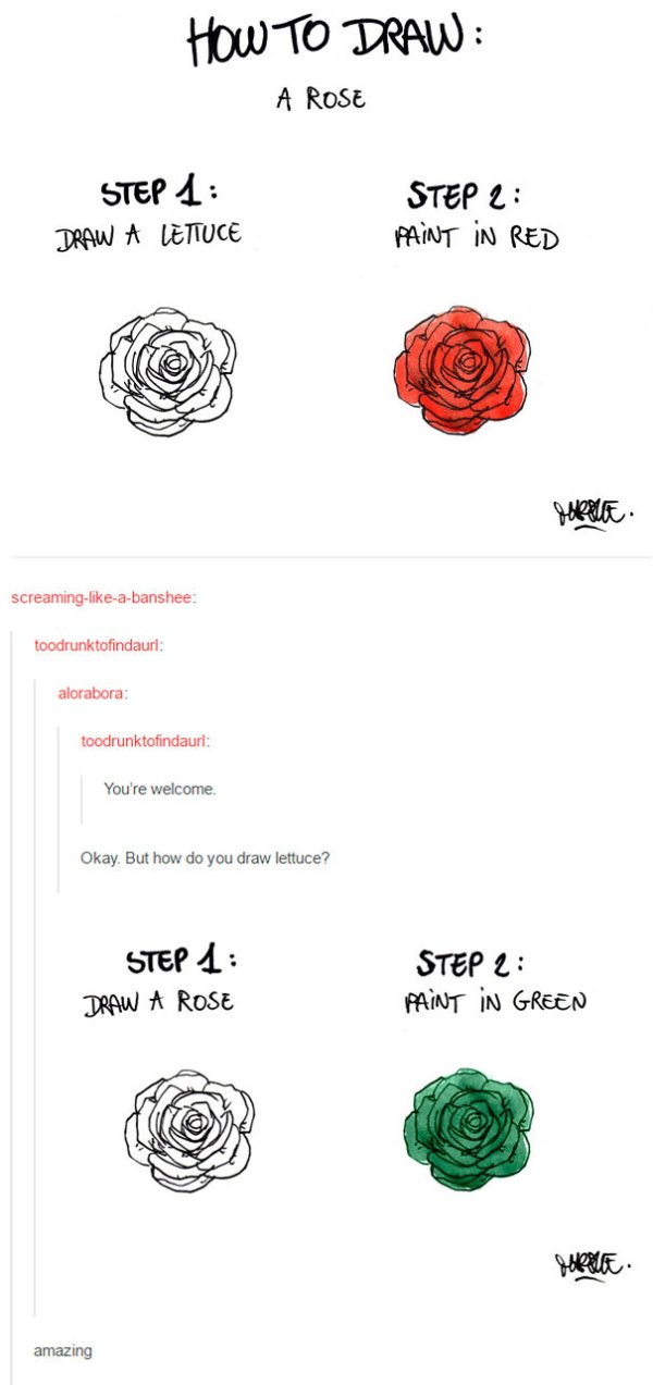tumblr - draw a rose funny - How To Draw A Rose Step 1 Draw A Lettuce Step 2 Paint In Red Hohet screamingabanshee toodrunktofindaurl alorabora toodrunktofindaurl You're welcome Okay. But how do you draw lettuce? Step 1 Draw A Rose Step 2 Paint In Green am